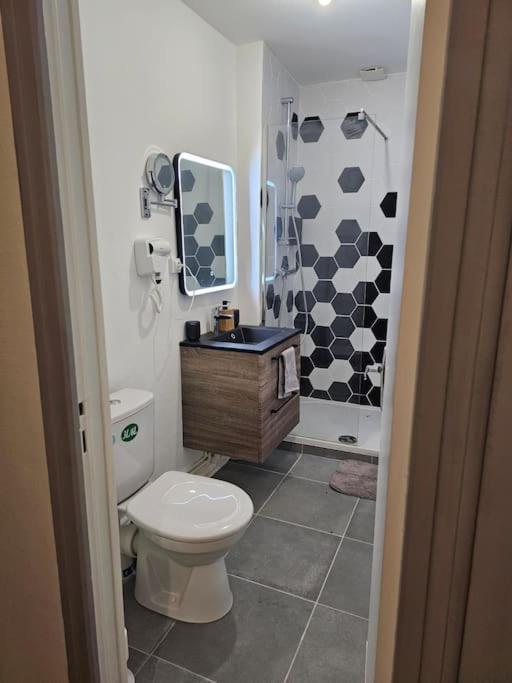 Appartement Petit Pont Ardennais/cosy/t1/wifi/parking Sedan